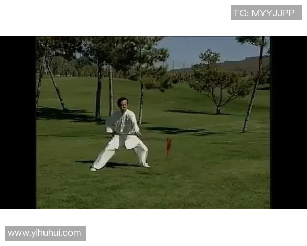 陈正雷太极枪的传承与创新探索传统武术的现代发展之路