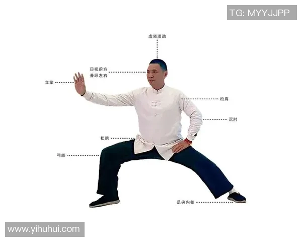 深入浅出四十二式太极拳教学指南助你轻松掌握太极精髓与技巧