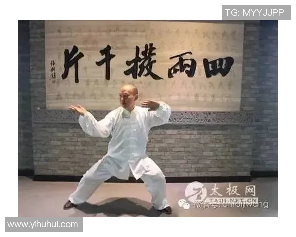 太极发劲的奥秘与实践探索：从内到外的力量释放与身心合一之道