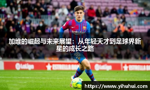 九游体育手机网页版登录